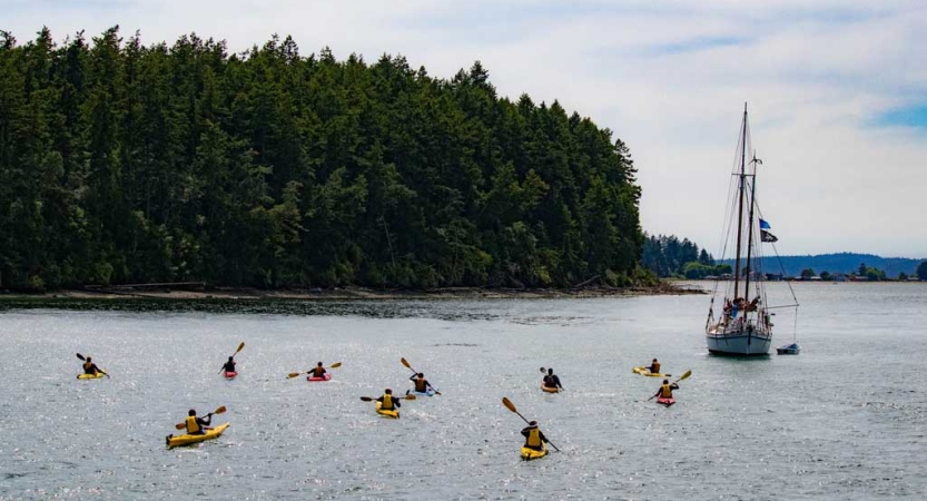 group sea kayaking in pacific northwest